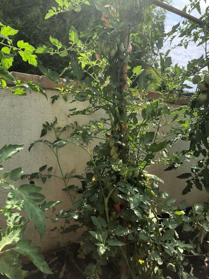 La Corte Di Valemi Riccò del Golfo di Spezia Eksteriør billede